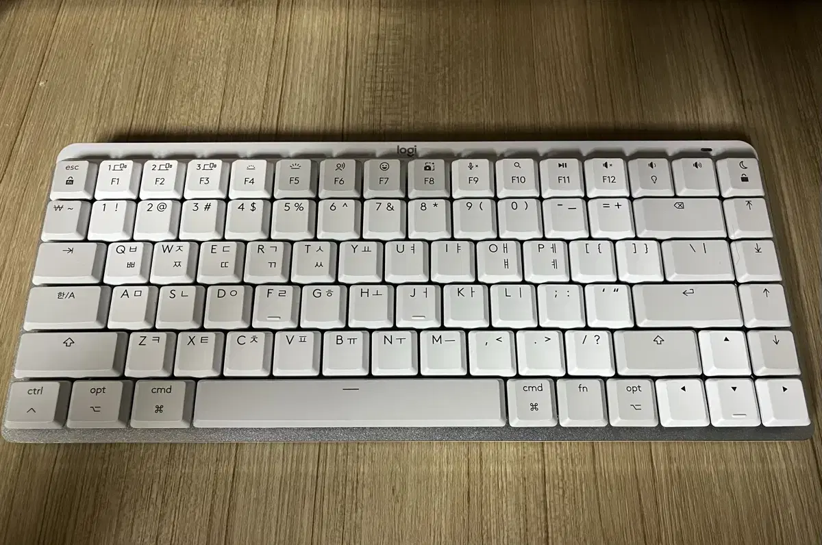 로지텍 mechanical mini for mac